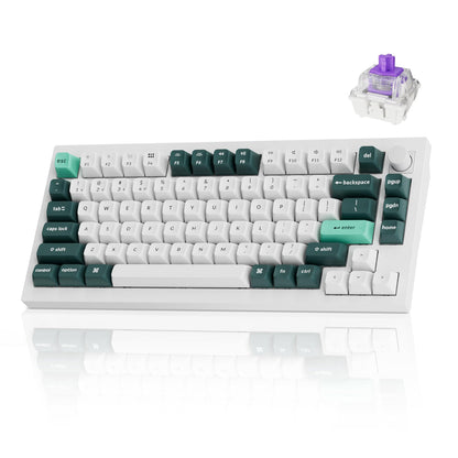 Q1 HE Hot Swappable RGB Mechanical Keyboard Knob
