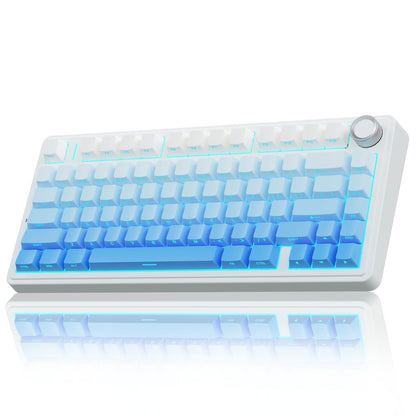 Wireless Hot Swappable RGB Mechanical Keyboard