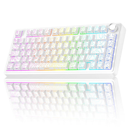 Wireless Hot Swappable RGB Mechanical Keyboard