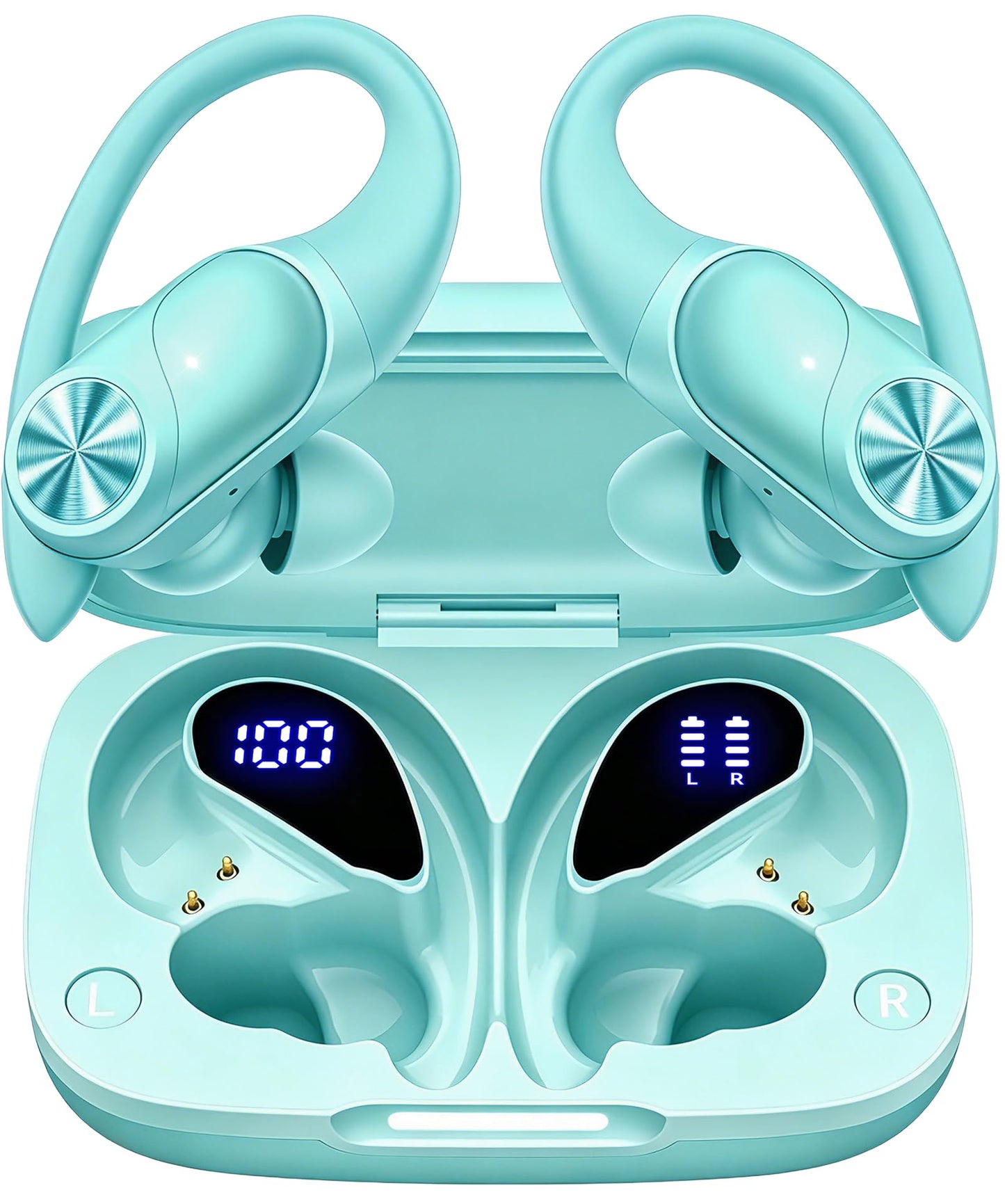 Wireless Earbuds with 80-Hour Playtime and Ear Hooks