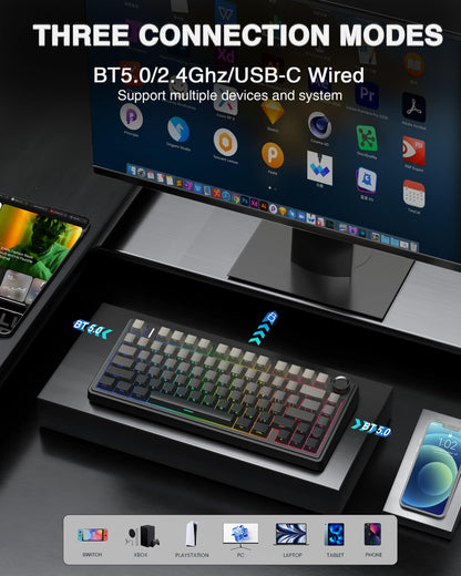 Wireless Hot Swappable RGB Mechanical Keyboard