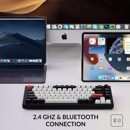 Q1 HE Hot Swappable RGB Mechanical Keyboard Knob